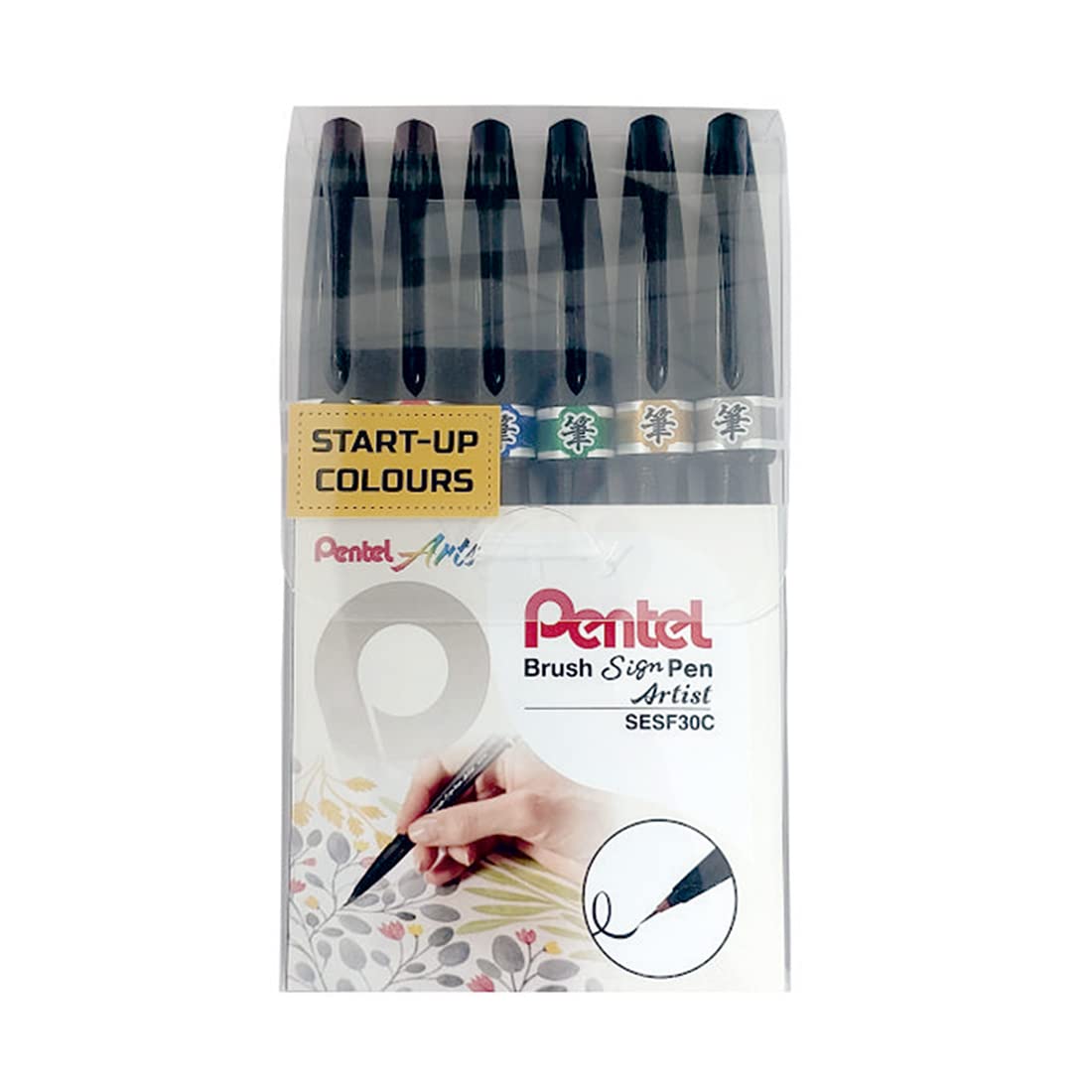 PENTEL, Brush Sign Pen - Artist | Set of 6. – OXFORD stationers