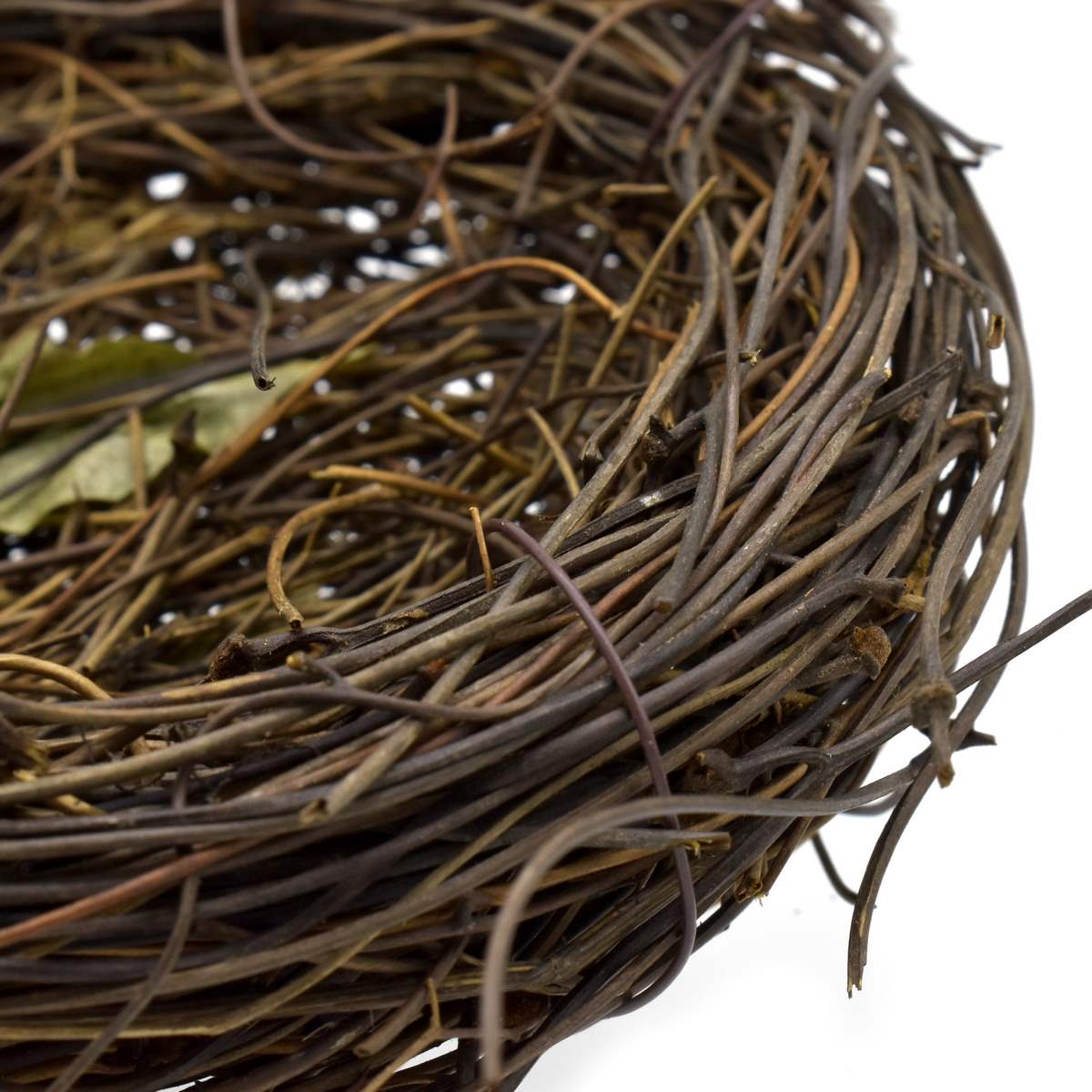 JAGS, Bird Nest - Articial.