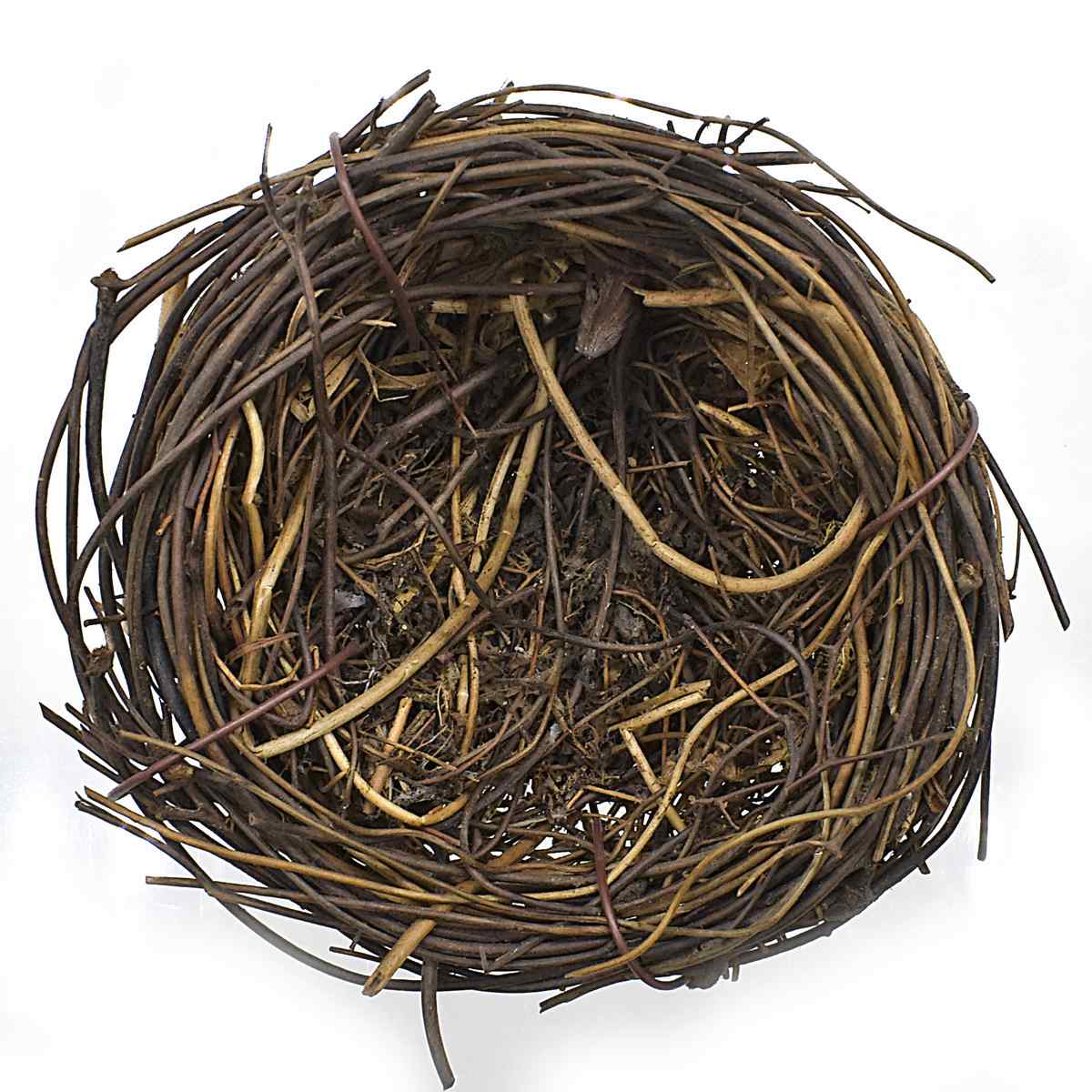 JAGS, Bird Nest - Articial.