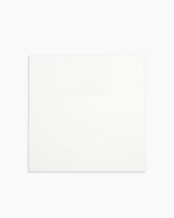CAMEL, Canvas Board | Pack of 2.