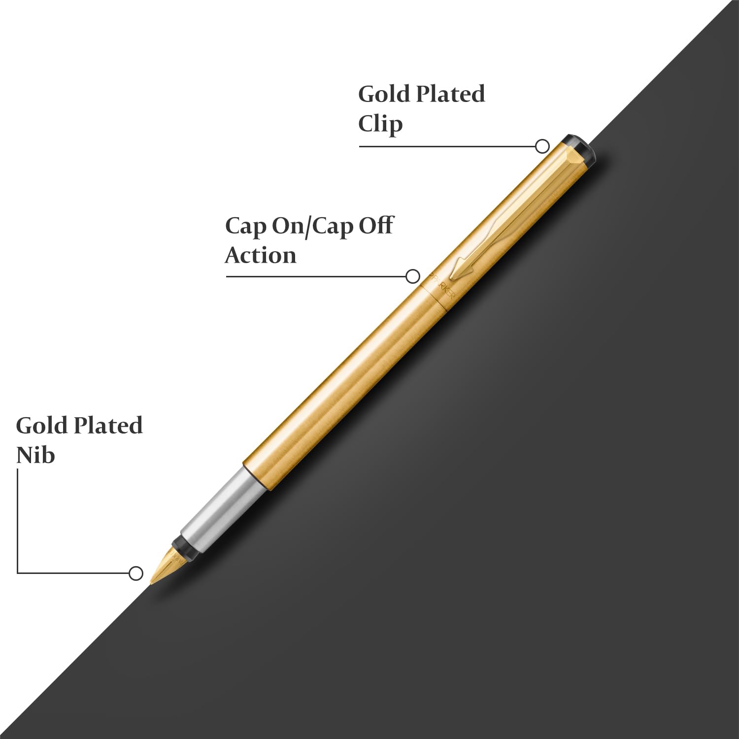 PARKER, Fountain Pen - VECTOR Gold | Gold Trim | Fine.