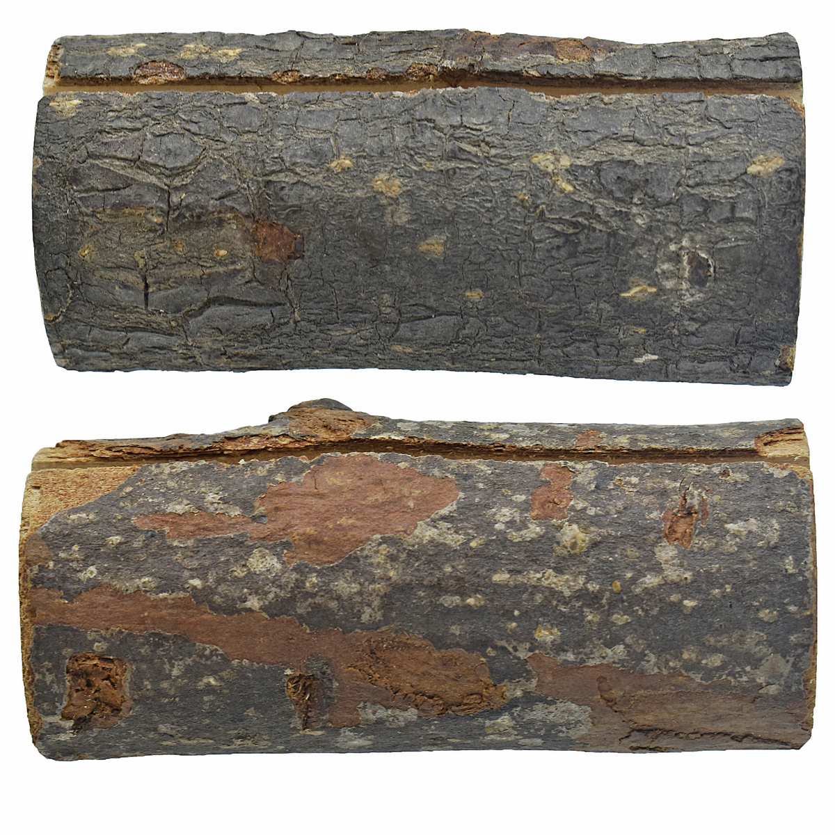 JAGS, Wood Tree Stick - Round | 2 pcs.