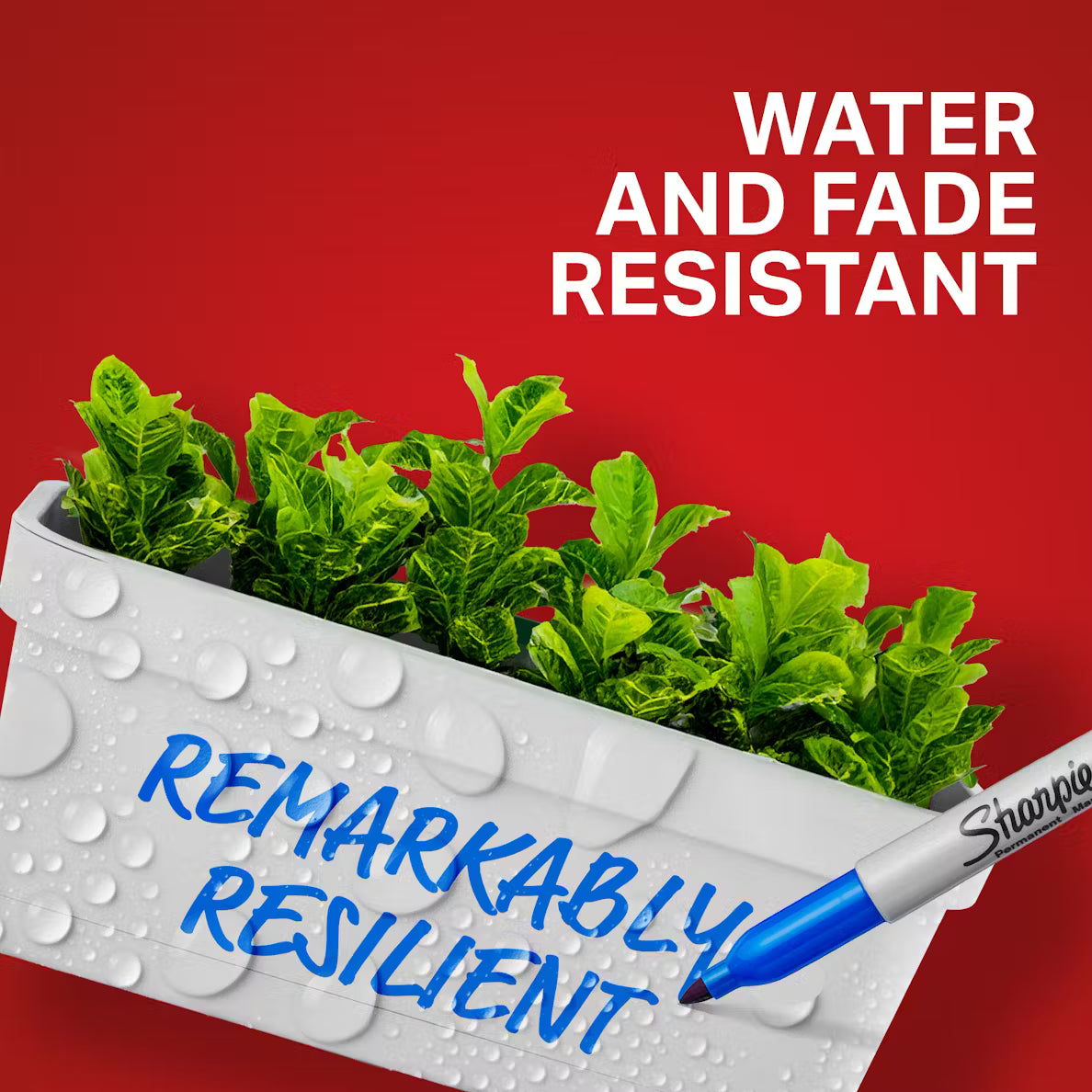 SHARPIE, Permanent Markers - Fine | 12pc.