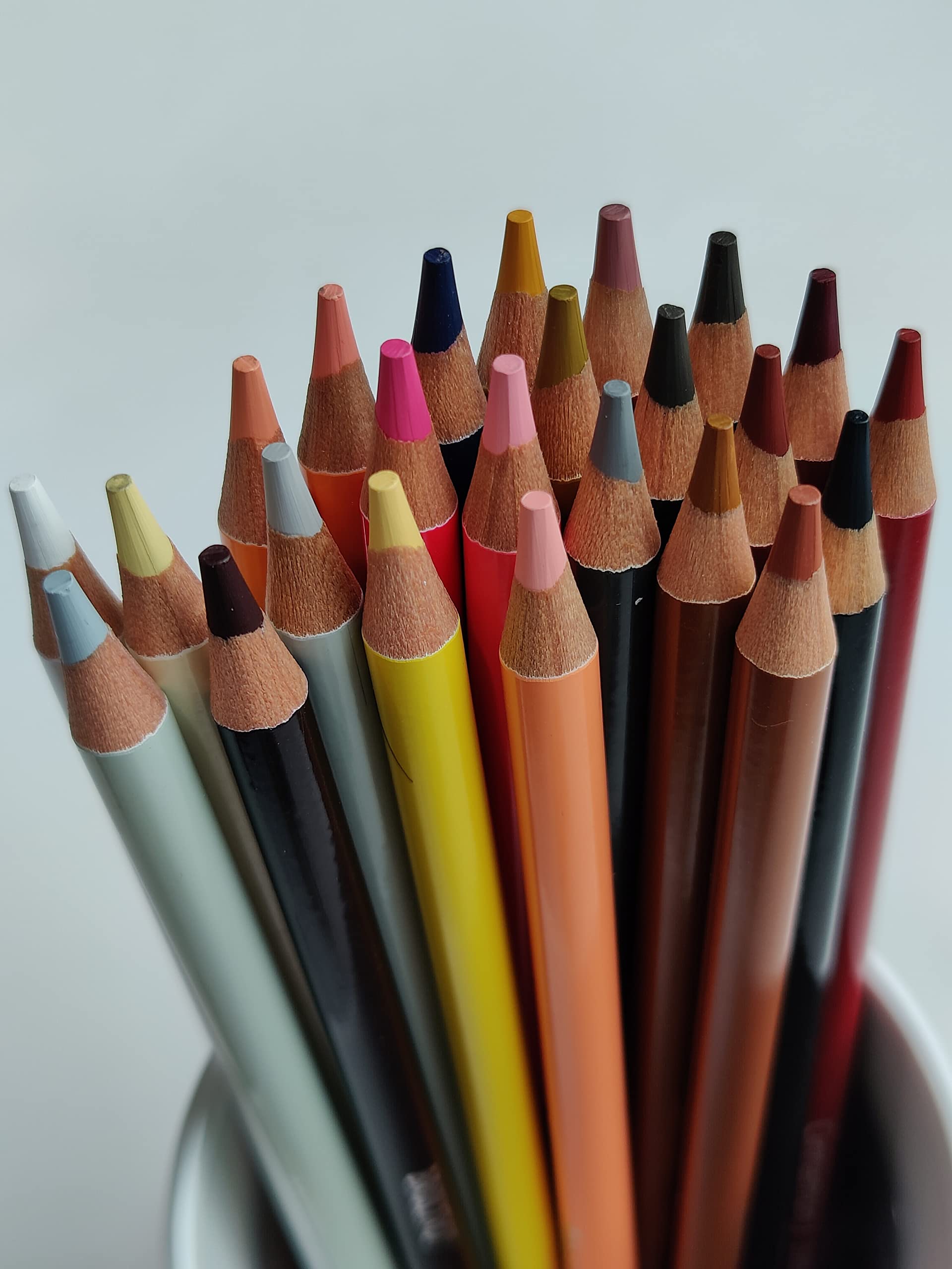 BRUSTRO, Coloured Pencils - Artists | Skin Tone | Set Of 24.