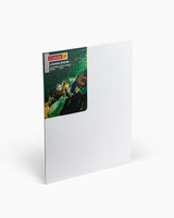 CAMEL, Canvas Board | Pack of 2.